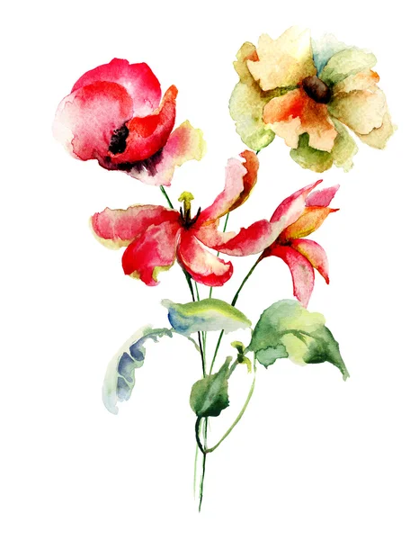 Tulpen en klaproos bloemen — Stockfoto