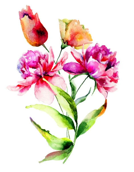 Tulipán és a bazsarózsa virágok — Stock Fotó