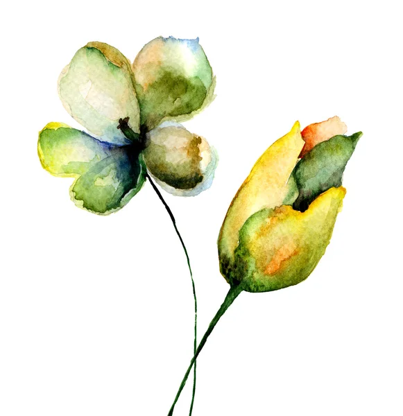 Stiliserade tulpaner blommor — Stockfoto