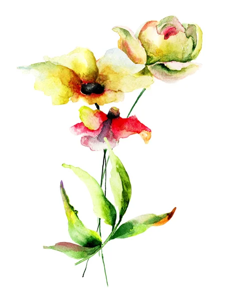 Ilustração aquarela floral — Fotografia de Stock