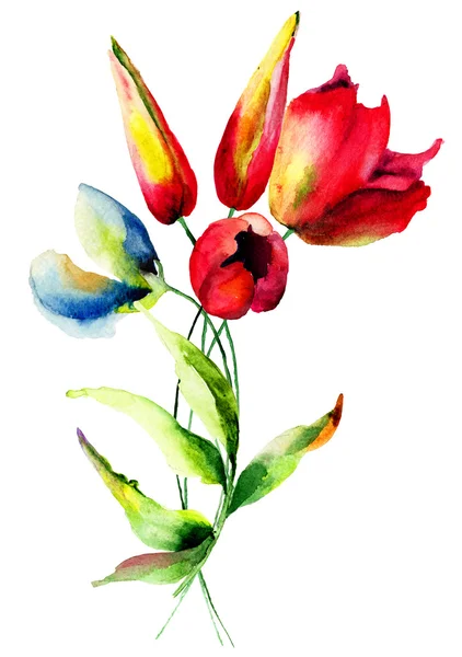 Flores de guisante dulce y tulipanes — Foto de Stock