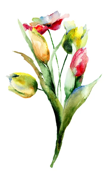 Άνθη τουλίπας — Φωτογραφία Αρχείου