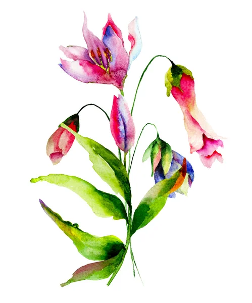 Akvarel ilustrace stylizované květiny — Stock fotografie