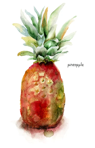 Ananas — Zdjęcie stockowe