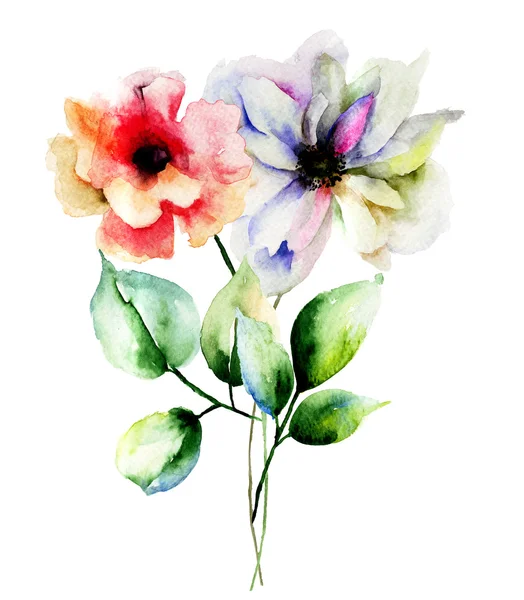 Originální letní květiny — Stock fotografie