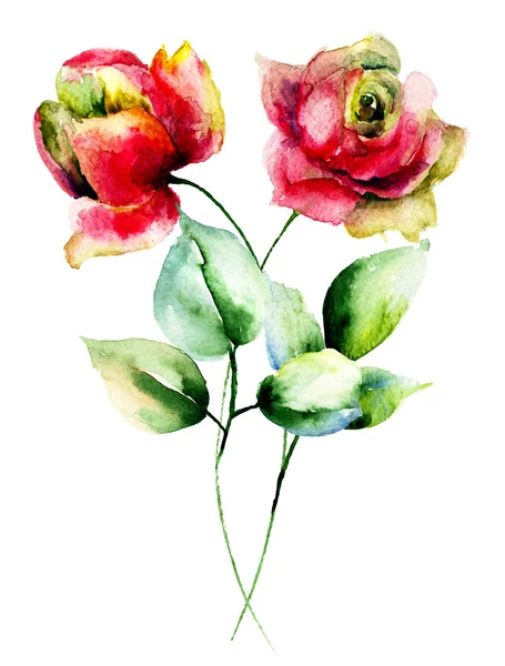 Flores de rosas vermelhas — Fotografia de Stock