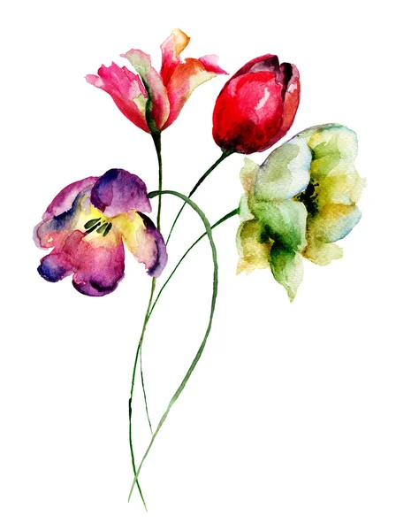 美しいチューリップの花 — ストック写真