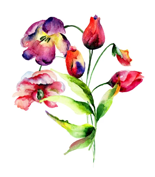 Bellissimi fiori di tulipani — Foto Stock