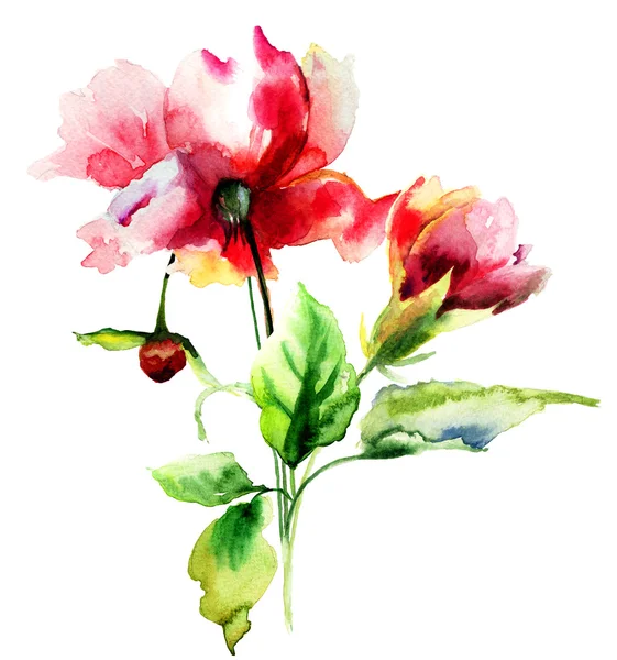 Ilustração aquarela original com flores — Fotografia de Stock