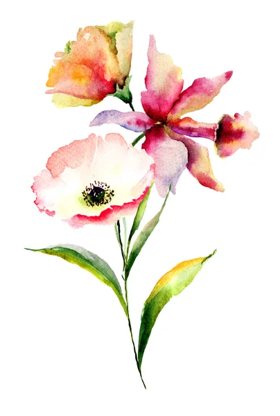 罂粟和百合的花 — 图库照片