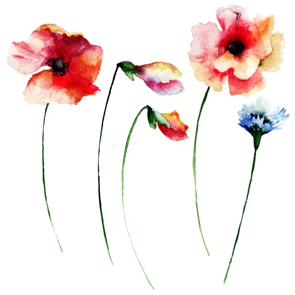 Aantal zomer aquarel bloemen — Stockfoto