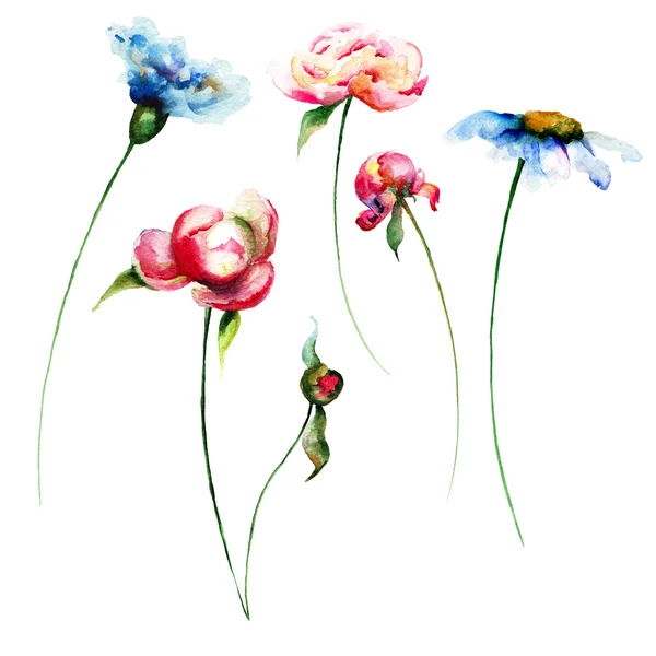 Набір барвистих квітів — стокове фото