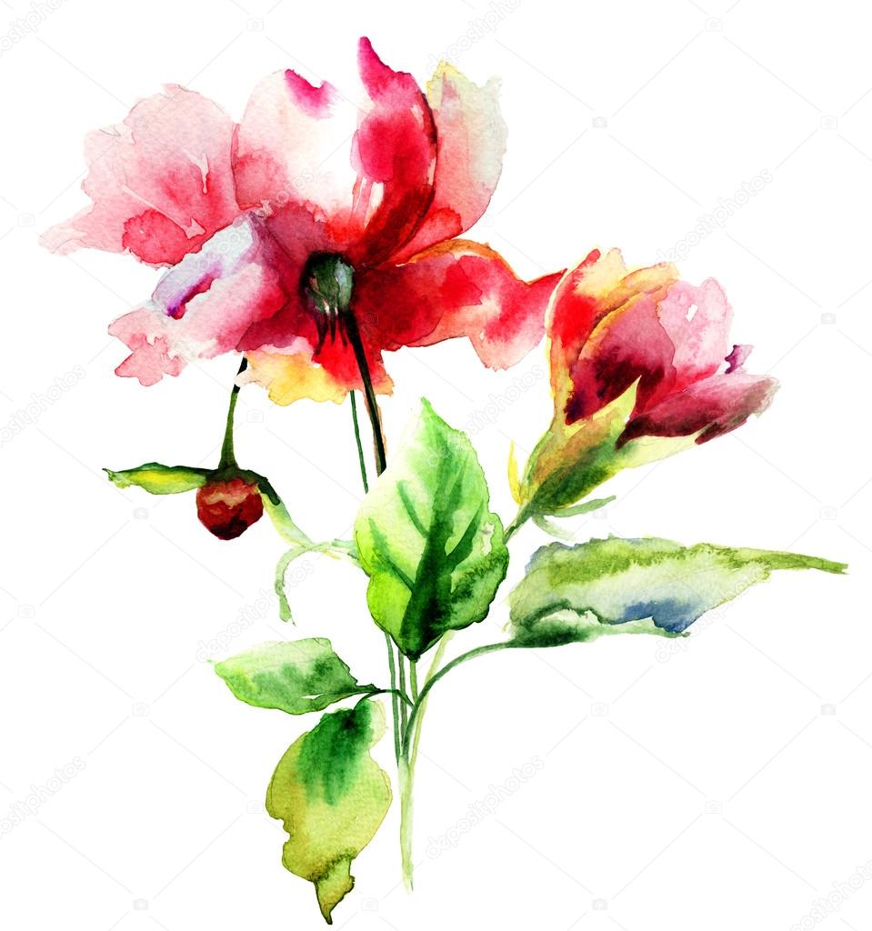 花のオリジナルの水彩画イラスト ストック写真 C Jershova