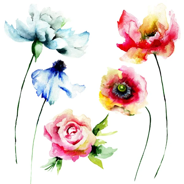 Conjunto de flores aquarela — Fotografia de Stock