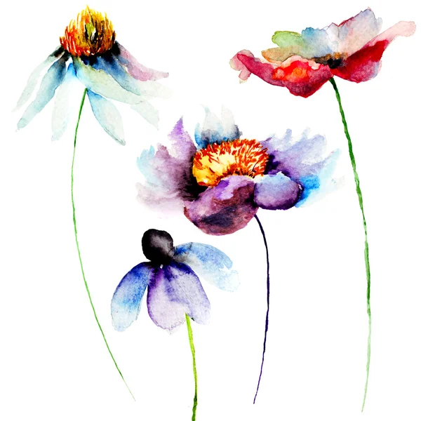 Conjunto de flores coloridas — Fotografia de Stock