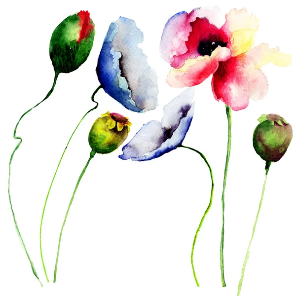 Set van aquarelbloemen — Stockfoto