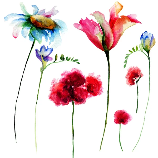 Ensemble de fleurs aquarelle originales — Photo