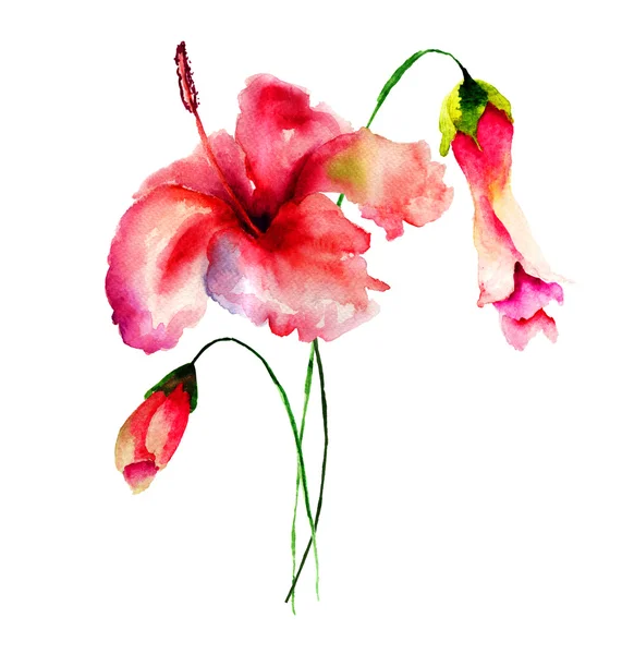 Stilisierte Blumen Aquarell Illustration — Stockfoto