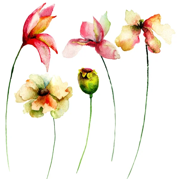 Sada akvarelových květin — Stock fotografie