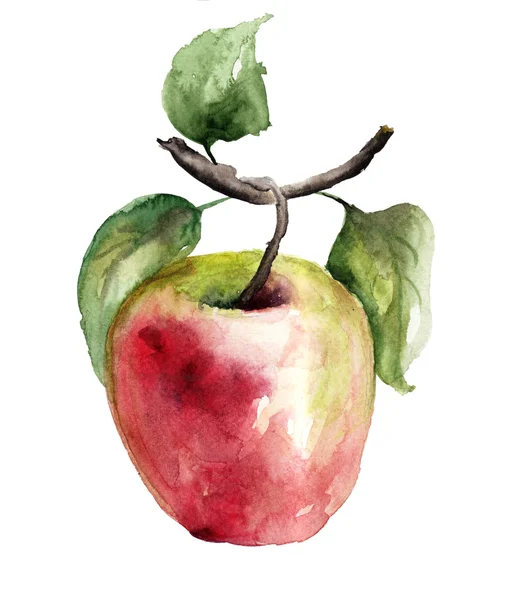 Stylized watercolor apple illustration — Stock Photo, Image