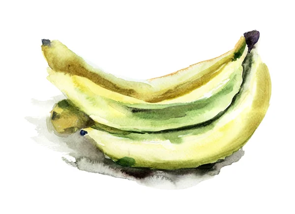 Akwarela ilustracja kiść bananów — Zdjęcie stockowe