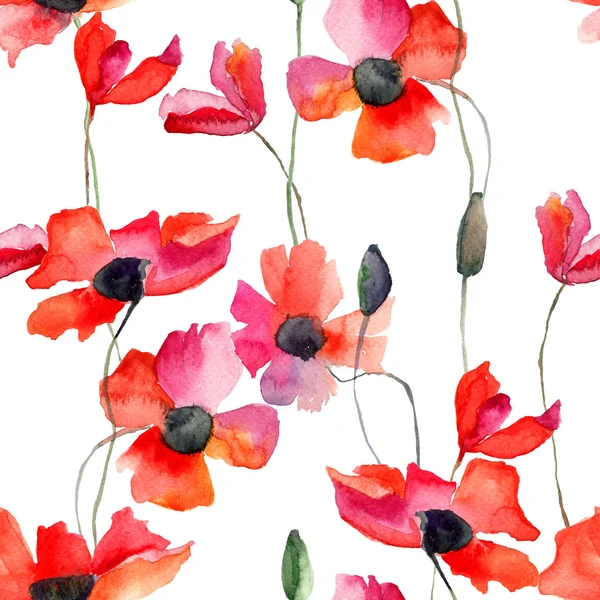 无缝壁纸与罂粟花朵 — 图库照片