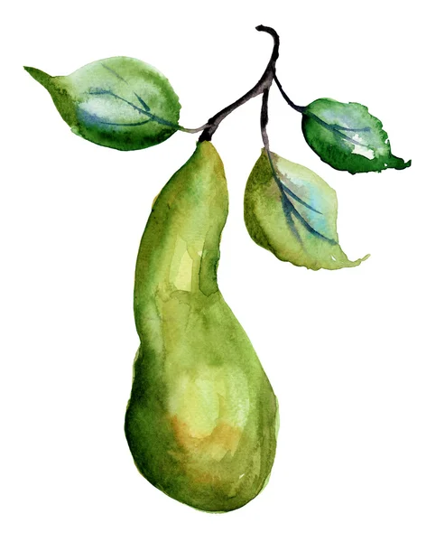 Aquarell-Illustration von Birnen — Stockfoto