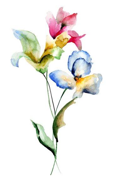 Schöne Blumen, Aquarell-Illustration — Stockfoto