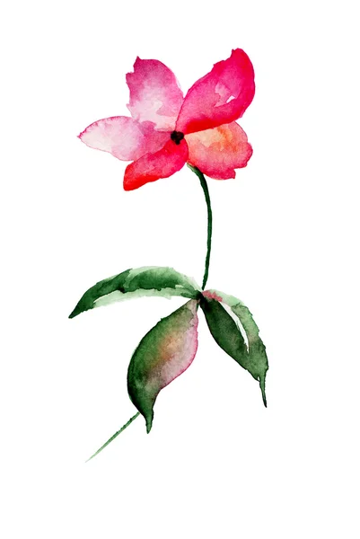 Fleur sauvage, illustration aquarelle — Photo