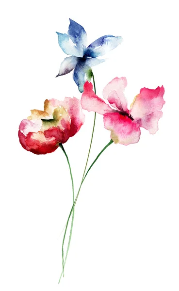 Bunte Blumen, Aquarell-Illustration — Stockfoto