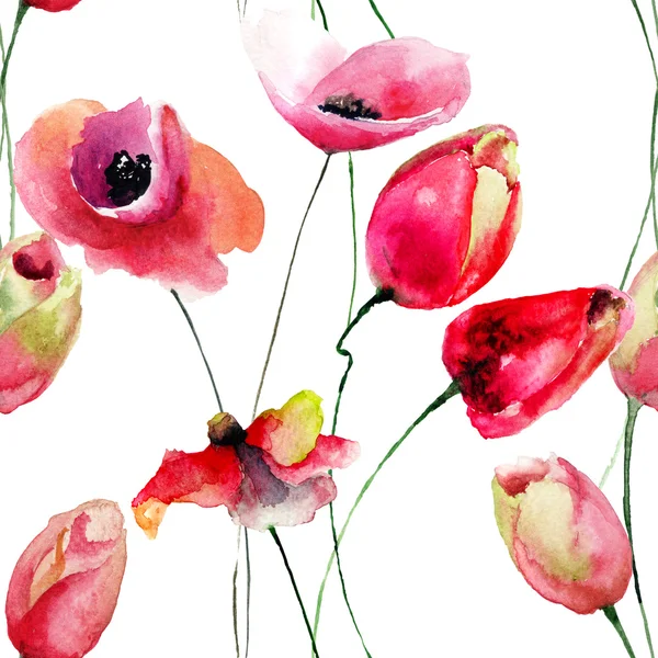 Poppy and Tulips flowers — Stock Photo, Image