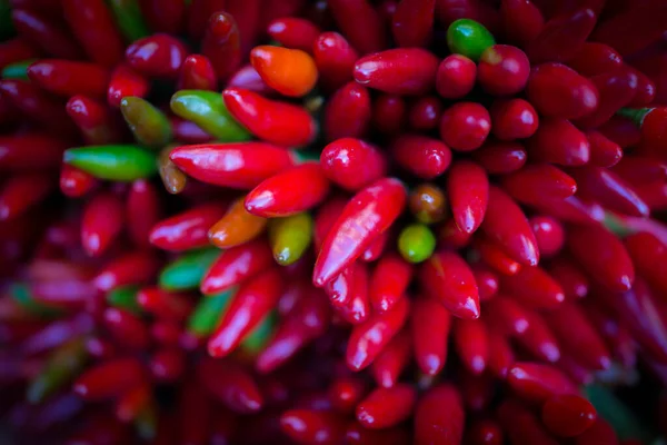 Vermelho quente chilly pepers closeup fundo — Fotografia de Stock