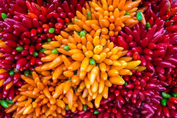 Red Hot Chilly Pepers Nahaufnahme Hintergrund — Stockfoto