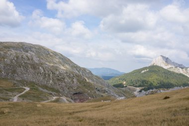 Yaz mevsiminde güzel doğal manzara