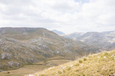 Yaz mevsiminde güzel doğal manzara