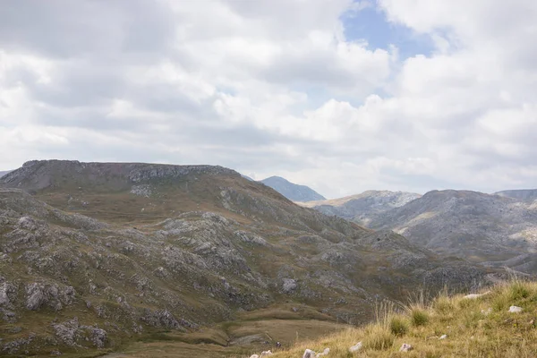 Beau paysage naturel en été — Photo