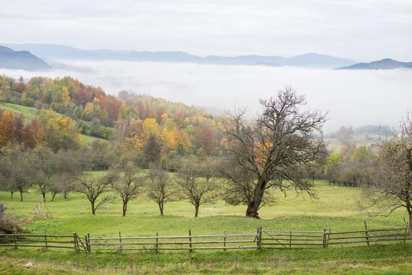 Beau paysage naturel en été — Photo