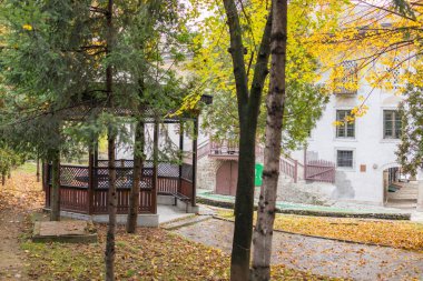 Önünde çeşme olan camii Sadrvan