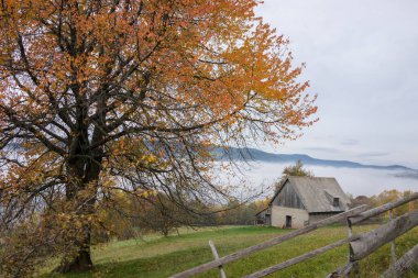 Yaz mevsiminde güzel doğal manzara