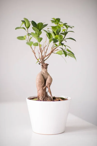 Een vaas van bloemen zittend op een tafel. — Stockfoto