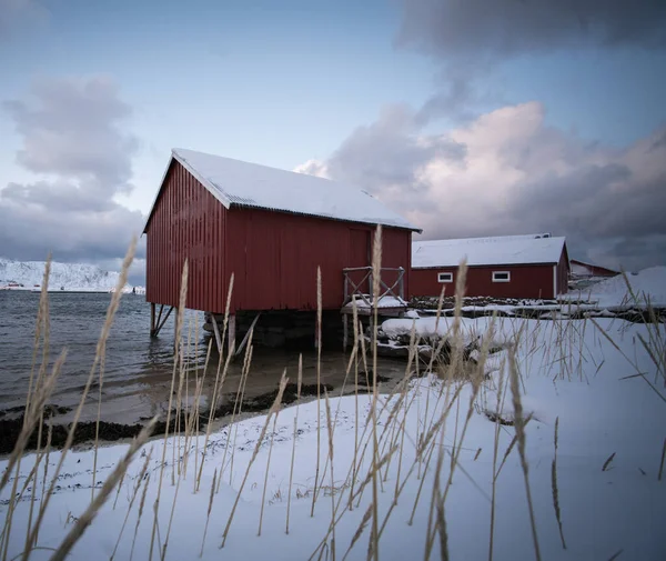 Krásný severní skandinávský Lofoten v zimě — Stock fotografie