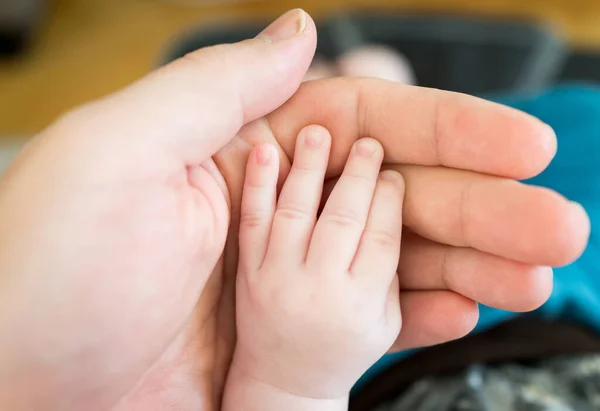 Parent holding little baby hand Royalty Free Stock Images