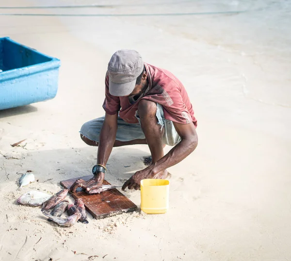 Ehrlicher schwarzer Fischer an Küste in der Nähe des Ozeans lizenzfreie Stockfotos