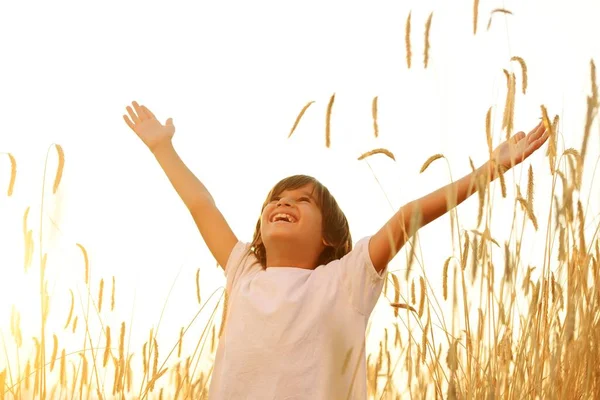 Счастливый ребенок на поле — стоковое фото