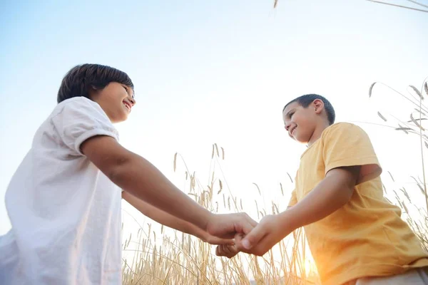 Two brothers at meadow — Stock Photo, Image