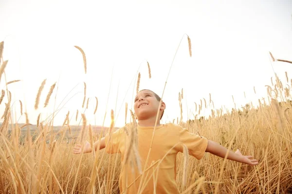 Happy child at harvest field Stock Picture