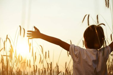 Mutlu çocuk hasat alanında