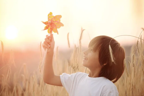 Happy child at harvest field — Stock Photo, Image