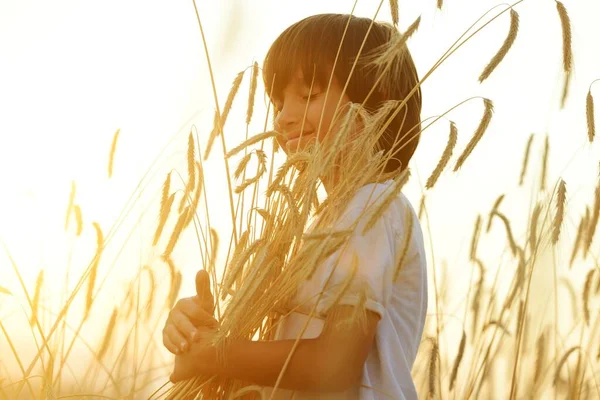 Niño feliz en el campo de cosecha — Foto de Stock