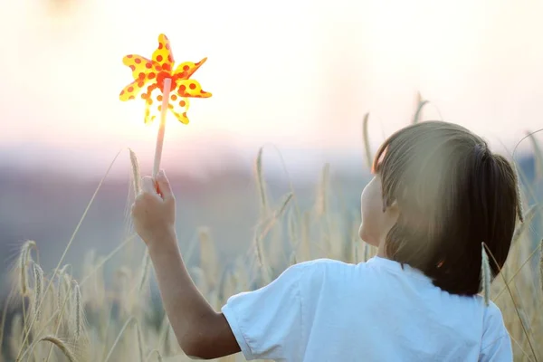 Enfant heureux au champ de récolte Photos De Stock Libres De Droits